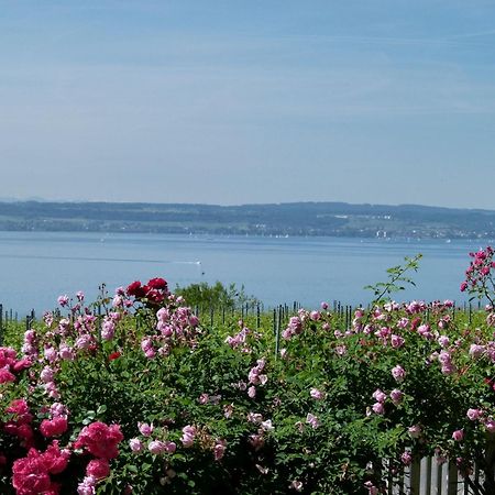 Abc Ferienwohnungen Abc Wohnung C Meersburg Exteriér fotografie