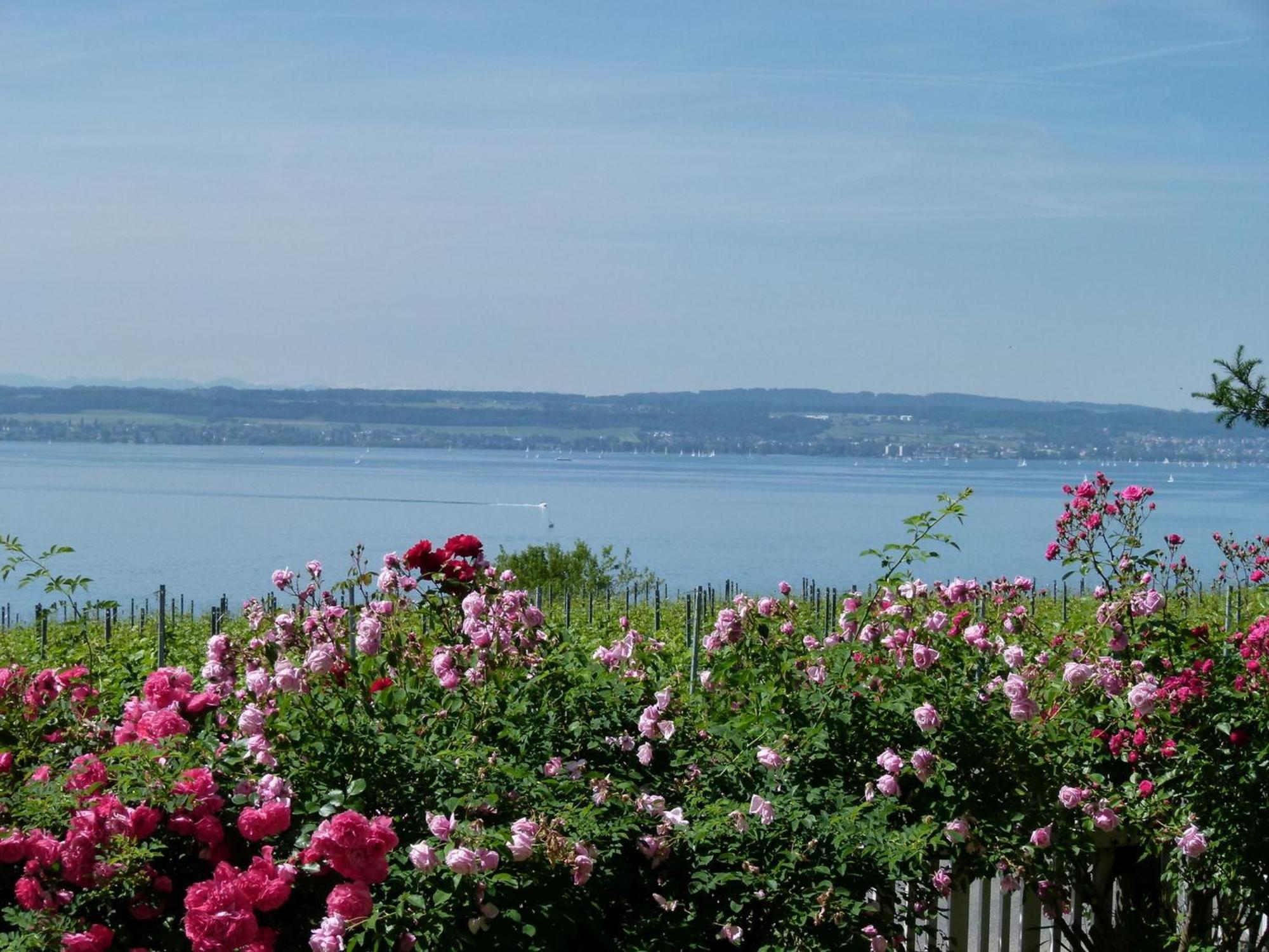 Abc Ferienwohnungen Abc Wohnung C Meersburg Exteriér fotografie